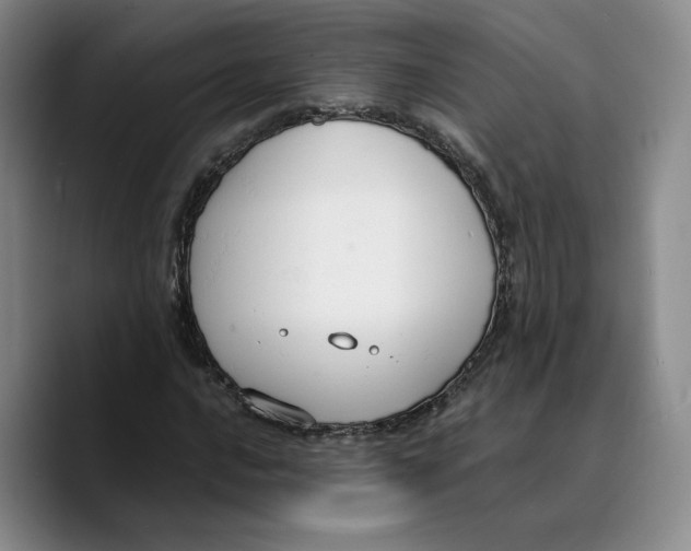 X0000089671016200707201635