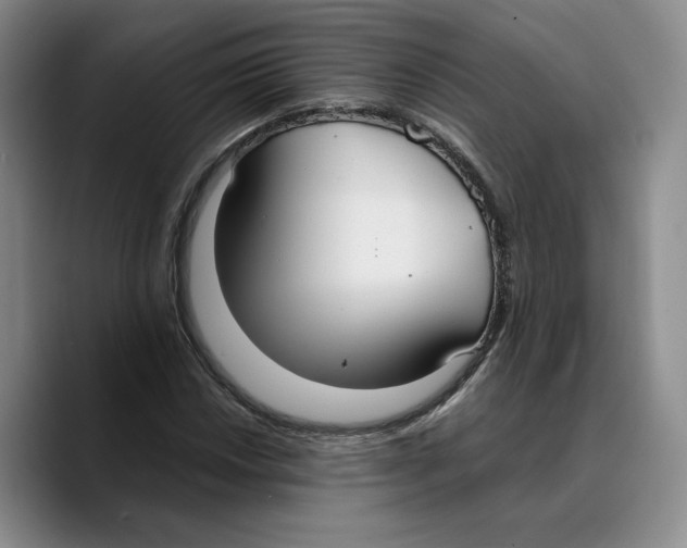 X0000089671018200707201635