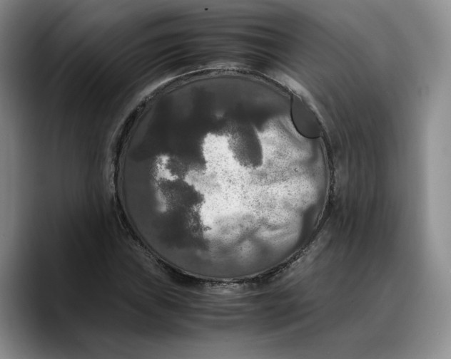 X0000089671019200707201635
