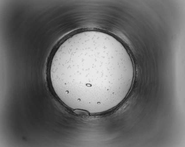 X0000089671020200707201635