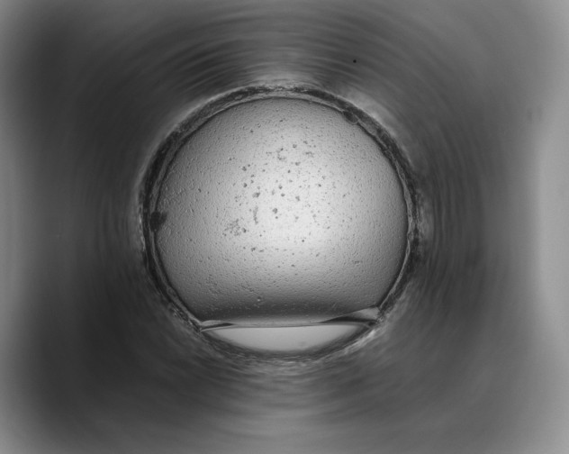 X0000089671022200707201635