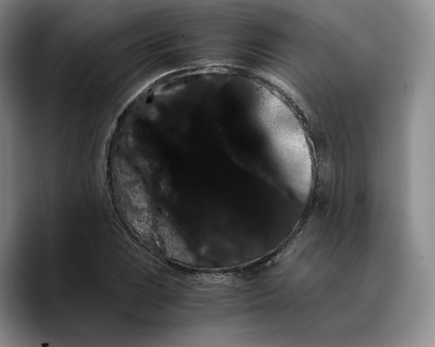X0000089671023200707201635
