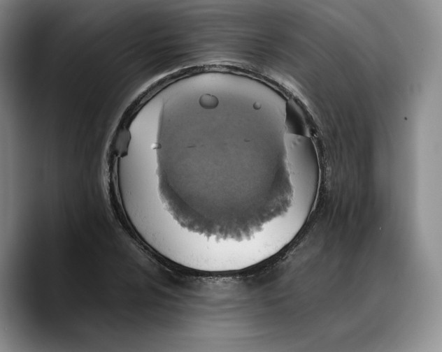 X0000089671024200707201635