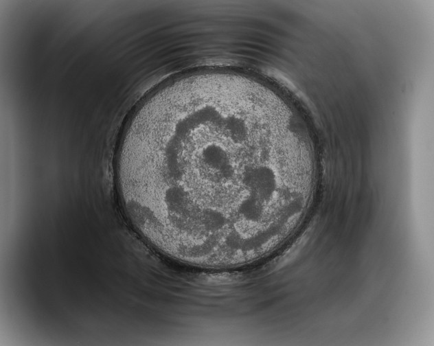 X0000089671025200707201635