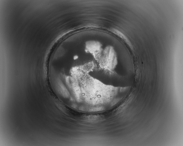 X0000089671027200707201635