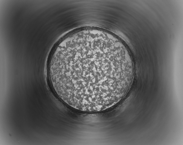 X0000089671028200707201635