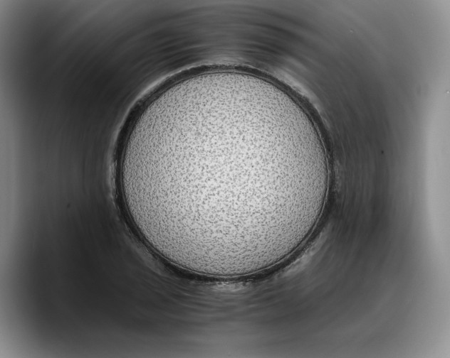 X0000089671029200707201635