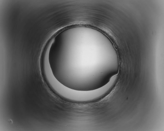 X0000089671030200707201635