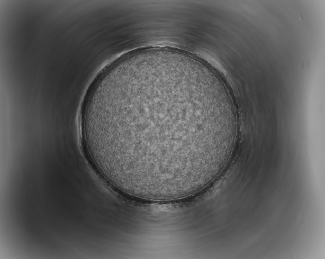 X0000089671032200707201635