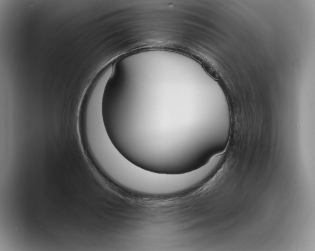X0000089671034200707201635