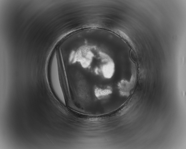 X0000089671035200707201635