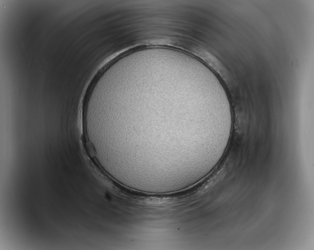X0000089671036200707201635