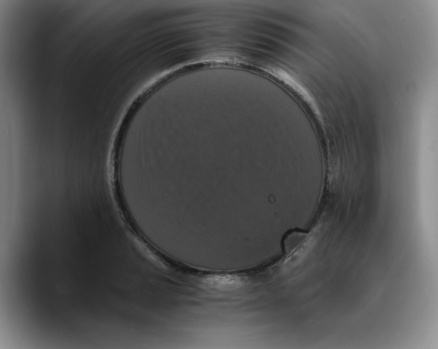X0000089671037200707201635