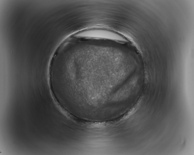 X0000089671038200707201635