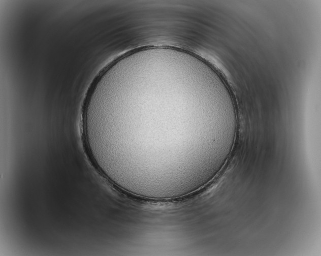 X0000089671040200707201635