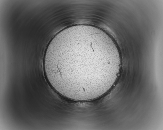 X0000089671041200707201635
