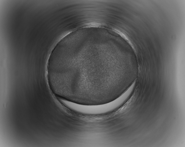 X0000089671042200707201635