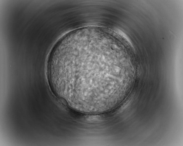 X0000089671043200707201635