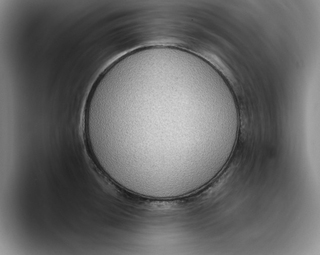X0000089671044200707201635