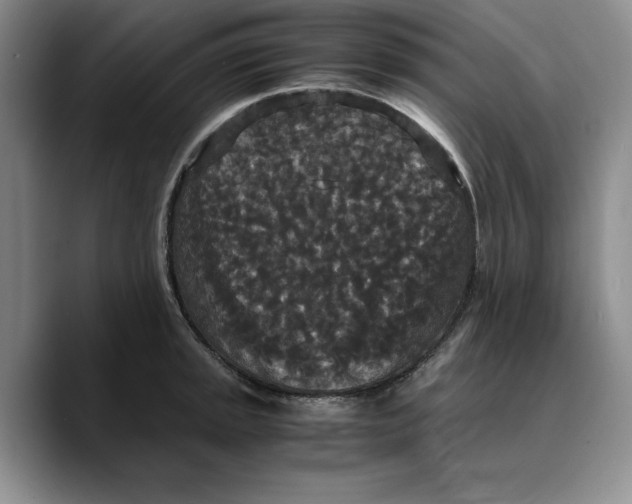 X0000089671045200707201635