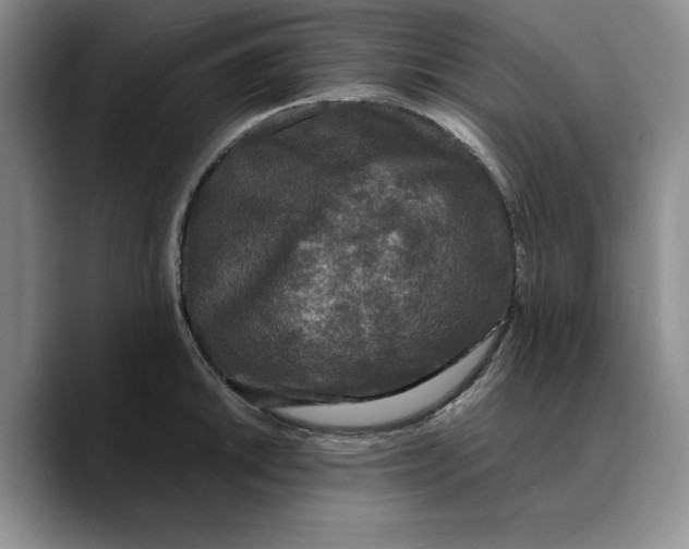 X0000089671046200707201635