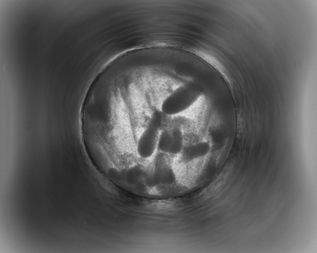 X0000089671047200707201635