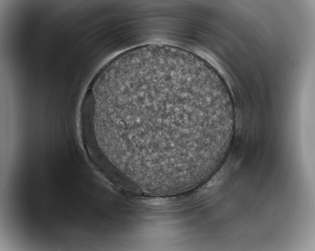 X0000089671048200707201635