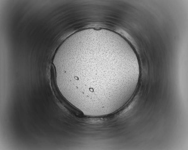 X0000089671049200707201635