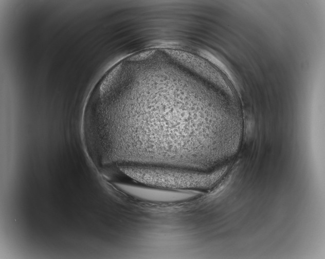 X0000089671050200707201635