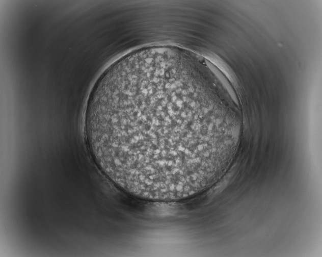 X0000089671052200707201635