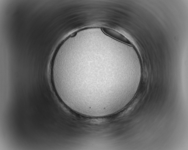 X0000089671053200707201635