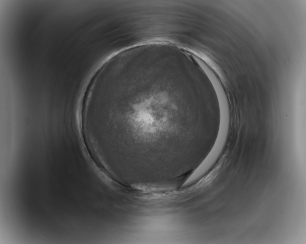 X0000089671054200707201635