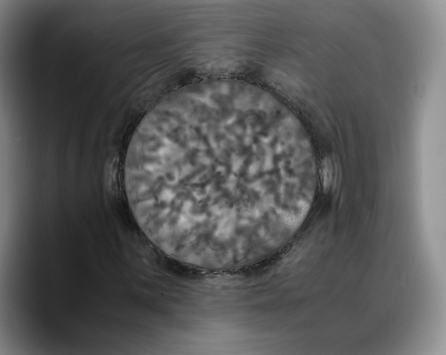 X0000089671059200707201634