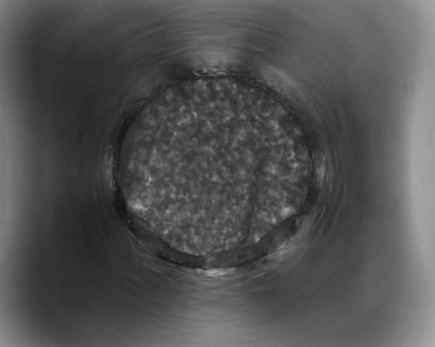 X0000089671060200707201634