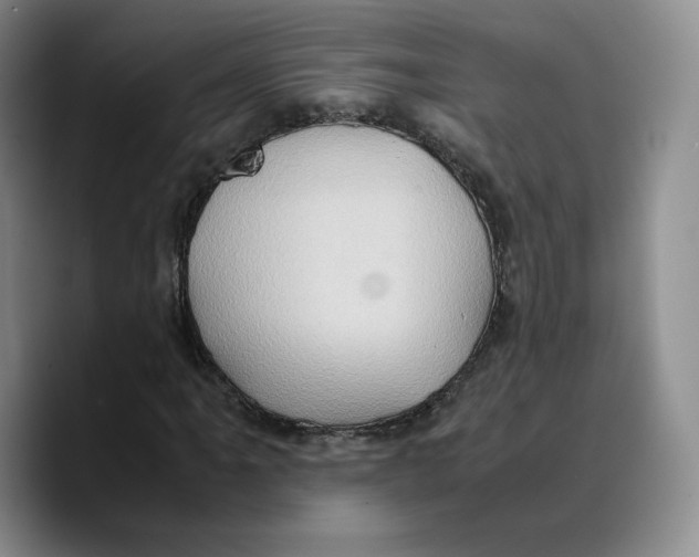 X0000089671061200707201634