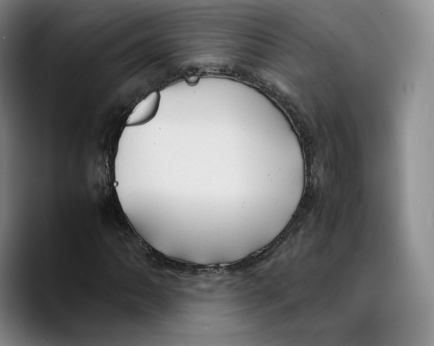 X0000089671062200707201634
