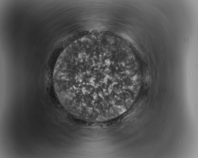 X0000089671063200707201634