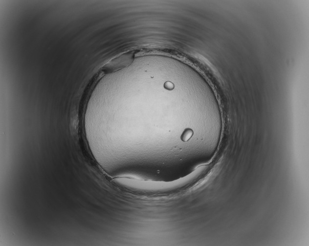 X0000089671065200707201634