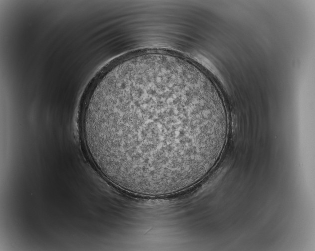 X0000089671068200707201634