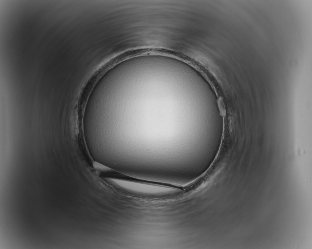 X0000089671069200707201634