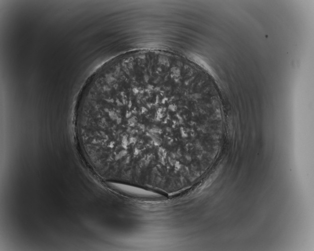 X0000089671071200707201634