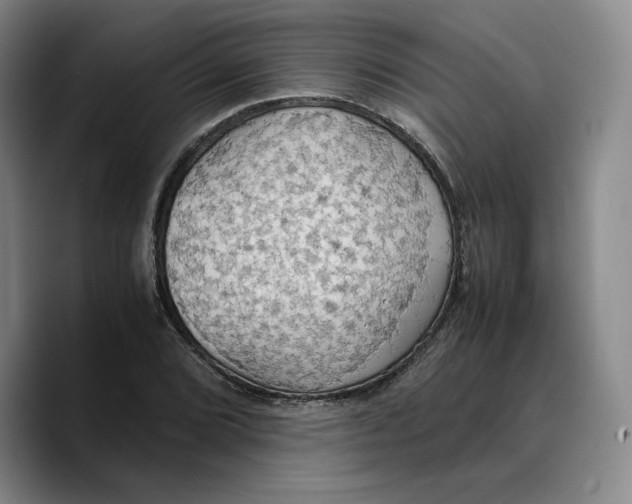 X0000089671072200707201634