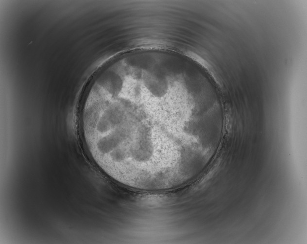 X0000089671074200707201634
