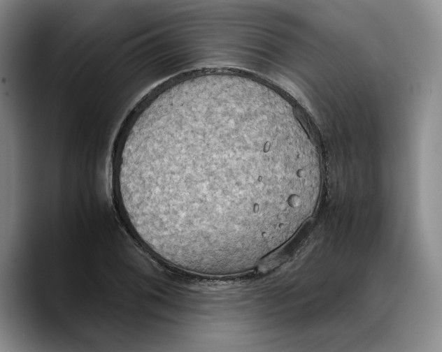 X0000089671076200707201634