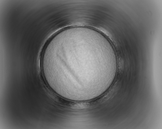 X0000089671078200707201634