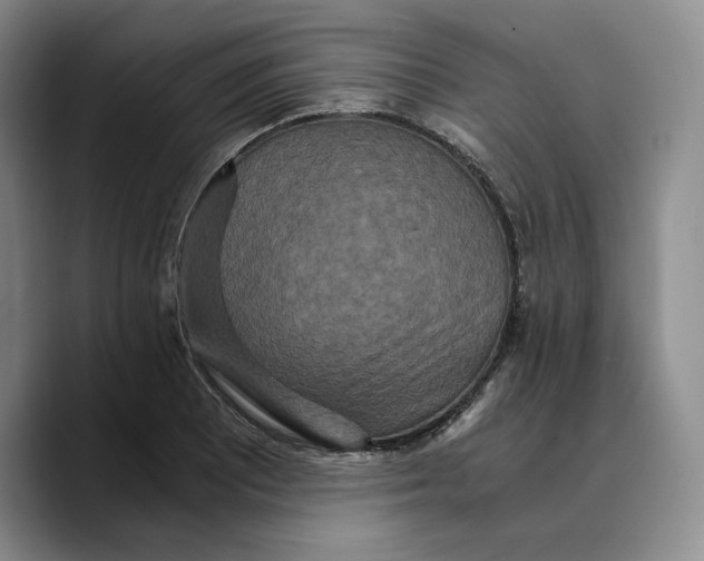 X0000089671081200707201634