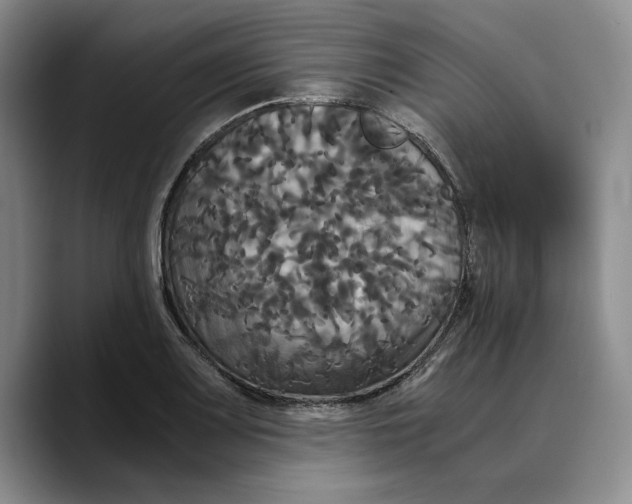 X0000089671083200707201634