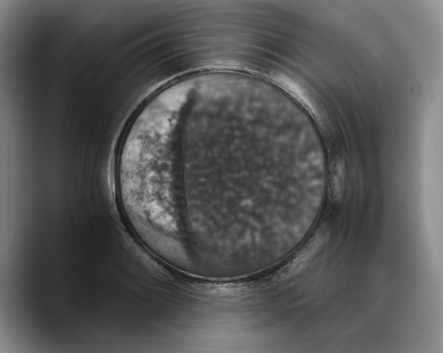 X0000089671084200707201634