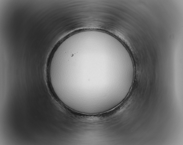 X0000089671085200707201634