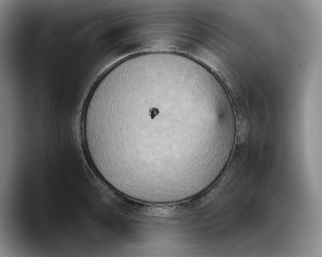 X0000089671086200707201634